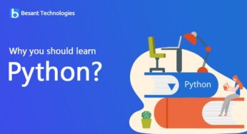 One Language, Endless Possibilities: Python’s Versatile Realm